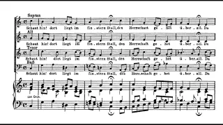 Bach: Christmas Oratorio II - 8. Schaut hin! dort liegt im finstern Stall - Koopman