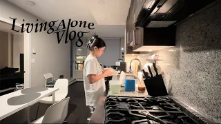 LIVING ALONE VLOG I cooking, working , and cleaning my place!