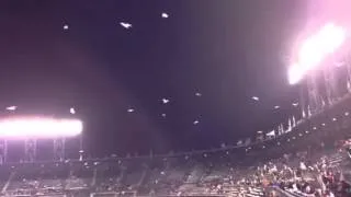 The seagulls descend on AT&T Park