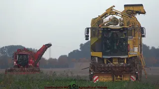 Holmer - Ropa - Fendt - Hawe -++ / Rübenernte - Harvesting Beets  2022  pt.1