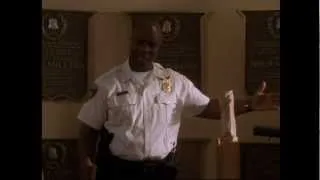 The Wire | The Birth of Hamsterdam