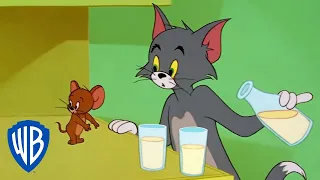 Tom y Jerry en Latino | Tom y Jerry en pantalla grande | WB Kids