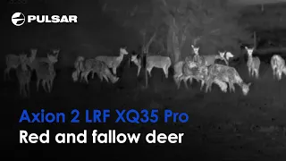 Pulsar Axion 2 LRF XQ35 Pro | Red and fallow deer | By Jón Rúnar Guðjónsson
