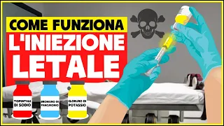 Come funziona l'iniezione letale e come avviene l'esecuzione? È davvero indolore? - Pena di morte