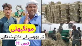 Mungfali K Bhoose K Baarey Mein Malomaat | Mungfali K Bhoose K Rate Kam Kyun Hain