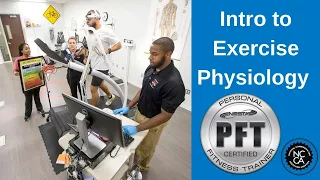 Introduction to Exercise Physiology for Personal Trainers