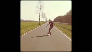 Black Dog "Longboarding Schandelah"