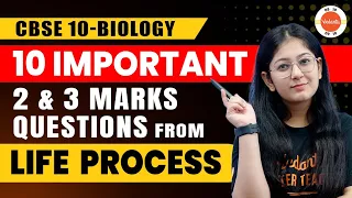 Life Processes Class 10: 10 Most Important 2 And 3 Marks Question Answers | CBSE 10th Biology Ch-6