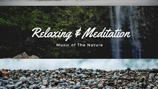 Relaxing, meditation, calming and pleasure sleeping music | Nature feelings music | Music for Yoga.