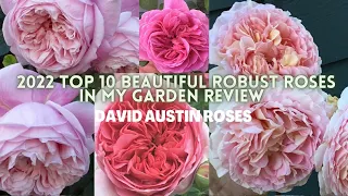 NEW! 2022 TOP 10 BEAUTIFUL ROBUST ENGLISH ROSES REVIEW || David Austin Roses || EARTH ANGEL