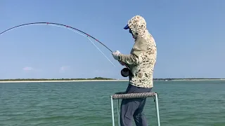 Steve’s select size Tarpon