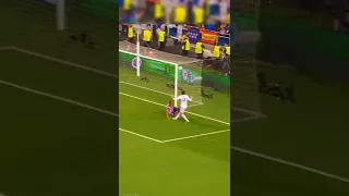 Xabi alonso celebrate Bale's goal in the final
