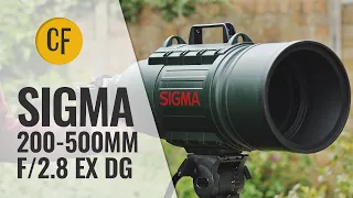 Special: Sigma 200-500mm f/2.8 EX DG 'Green Giant' lens review with samples