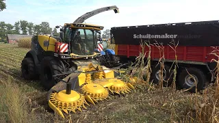 Mais hakselen met New Holland FR550 60th Anniversary Edition door loonbedrijf Bouwhuis (2022)