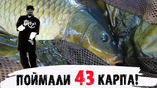 ПОЙМАЛИ 43 КАРПА. Безумная семейная рыбалка