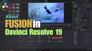 Fusion: Ultimate guide for beginers in telugu || Master the fusion in Davinci Resolve 19