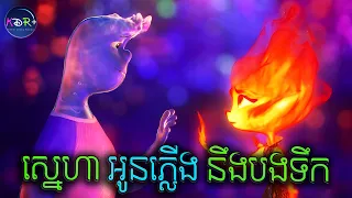 ទីក្រុងនៃធាតុទាំង៤ ទឹក ដី ភ្លើង ខ្យល់ | Elemental - សម្រាយរឿង