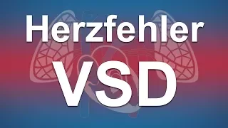 Herzfehler einfach erklärt: Ventrikelseptumdefekt (VSD)