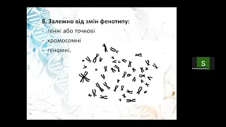 Біологія - Молекулярна генетика Тренувальний табір IJSO