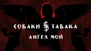 Собаки Табака - Ангел мой