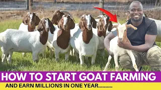 How To Start GOAT FARMING and Earn Millions in 2024