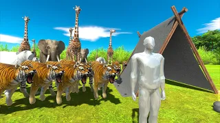 Camping in The Wild - How to Survive? | Animal Revolt Battle Simulator