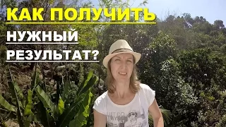 Как получить нужный результат?