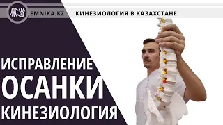 2. Исправление осанки в прямом эфире. Кинезиология