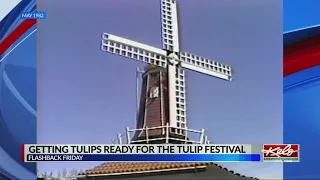 Flashback Friday: Orange City Tulip Festival of 1982