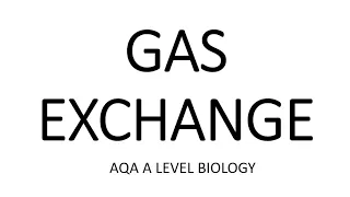 GAS EXCHANGE- AQA A LEVEL BIOLOGY + EXAM QUESTION RUN THROUGH