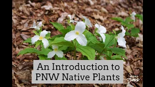 An Introduction to PNW Native Plants - 2021 Class Recording