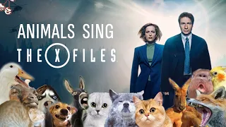 The X-Files theme but sounds like animals