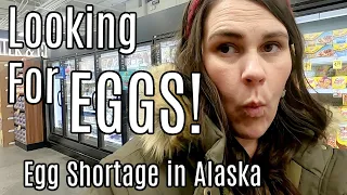 Egg Shortage Alaska 2023 | Going on an Egg Hunt + Shop & Cook W/ Me