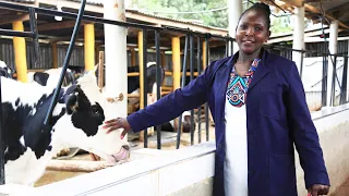 "From 6 to 200 Litres of Milk per Day" - How to Succeed in Dairy Farming.