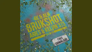 Brukshot (Aries & Kelvin 373 Remix)