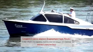 Стриж на ходу !