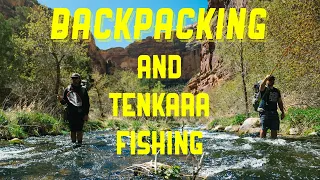 Backpacking and Dry Flies in Spring - Tenkara Fly Fishing