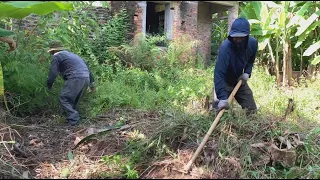 Clearing the old abandoned house in horror - Miraculous transformation