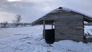 Трохи прогулявся в -10 на ставок. Зимова краса