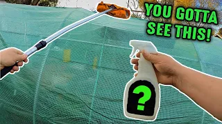 Prolong The Life Of Any Plastic Greenhouse With This Simple Garden Hack! Gardening - Plant Abundance