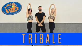 TRIBALE Elodie COREGRAFIA + TUTORIAL + SPALLE || BAILA CON LUIS 2022