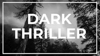 Dark Cinematic Thriller NoCopyright Background Music / Dark Knight by Soundridemusic