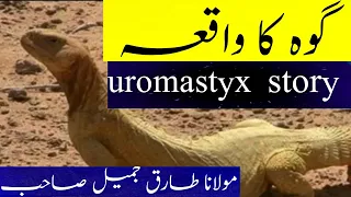 Uromastyx maliensis (lizard) | goh ka waqia | Maulana Tariq Jameel