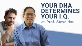 IVF Babies, SuperIntelligence, and Moral problems with IQ Research - Prof Steve Hsu