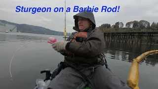 Sturgeon on a Barbie Rod!