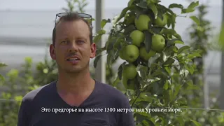 Agroserv
