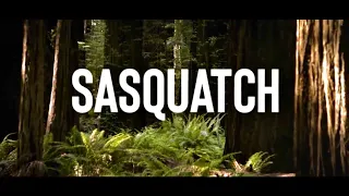 Sasquatch  Documentary  (Part 2  - Full Episode)