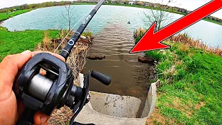 Searching for GIANT Bass in Neighborhood Ponds!! (Spring Bank Fishing)