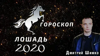 Гороскоп Лошадь -2020. Астротиполог, Нумеролог - Дмитрий Шимко