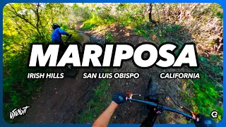 RIPPING Mariposa for Taco Tuesday with Art's Cyclery